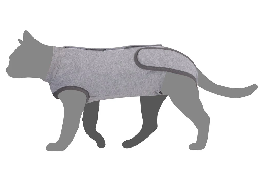 Camon Tutina Post Operatoria Gatto Taglia M-L 36–42 cm - immagine 3